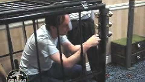 datagram in Gringo Warrior