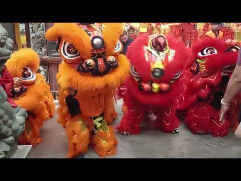 8 Lion Dance @ Tiangong's Birthday 2024 (Full video - Part 1).