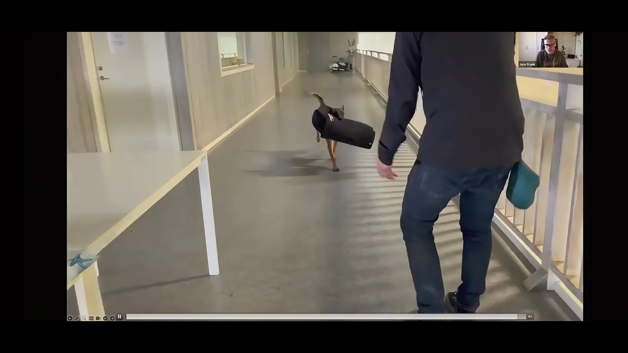 Jens Frank - Premacks princip