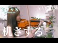 机さする/青木遥(映画ちいかわ 人魚の島の秘密 エンディング)ヴァイオリンで弾いてみた【Violin Covered by AiVIOLIN】