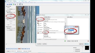 Chapter 2 How to Avedimux Flip a video horizontally (Amazing Trick in Avedimux)