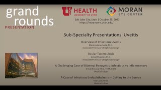 Sub-Specialty Presentations: Uveitis