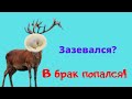 Как не попасть в ЗАГС НАСИЛЬНО?