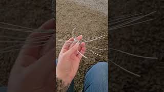 Creating a Wire Wrap Scorpion! #wirewrap