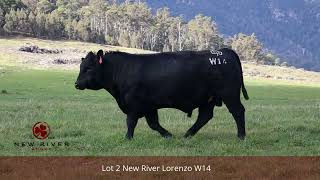 Lot 2 New River Lorenzo W14 1