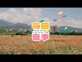 宣傳影片/2023關渡花海 花顏巧遇