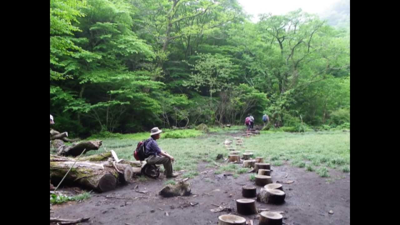 平治岳のミヤマキリシマ