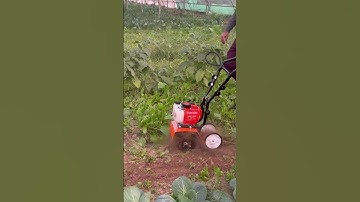 Mini Power tiller weeder 52cc #farming #polyhouse #agriculture #polyhousefarm #garden #multicropping