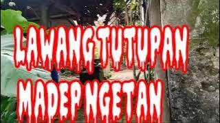 🔴LAWANG TUTUPAN MADEP NGETAN