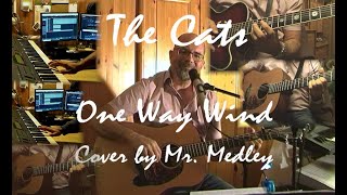 The Cats  One Way Wind cover By Mr Medley