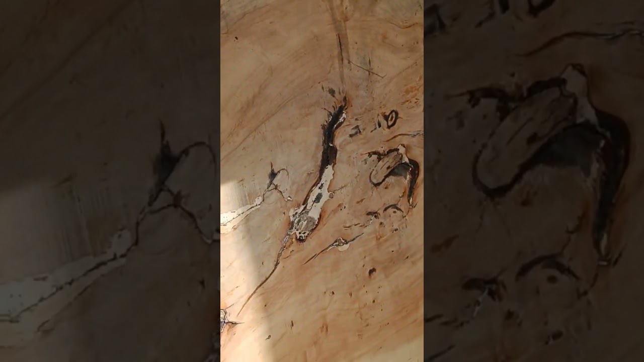 Organic wood 🪵 design world's best natural table and chairs 🪑 