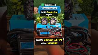 HJG Gorilla PRO Projector With Harness | HJG Gorilla V2 | HJG Gorilla V2 With Harness