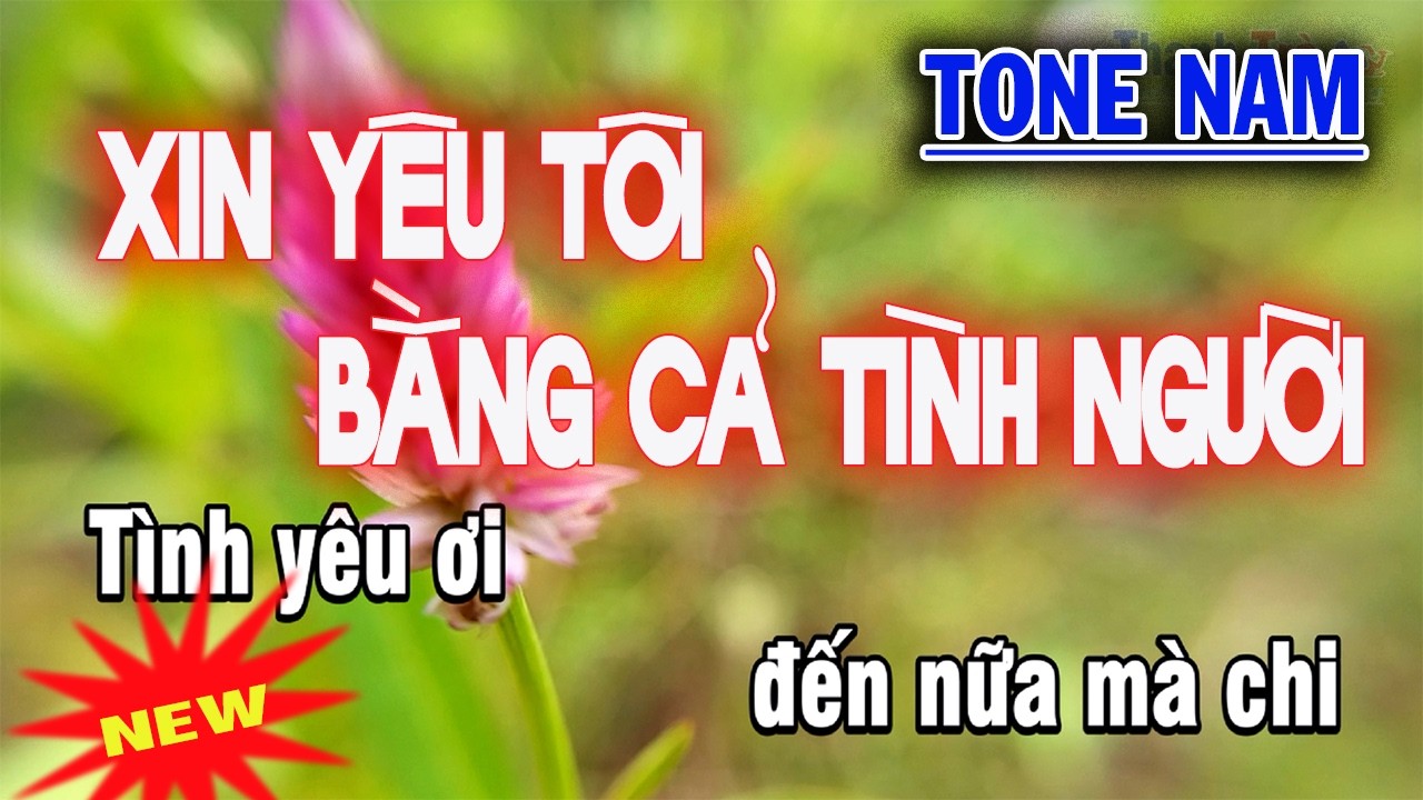 Karaoke Xin Yêu Tôi Bằng Cả Tình Người - Tone Nam