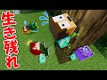 セミになって一週間生き残れ セミになって一週間生き残れ