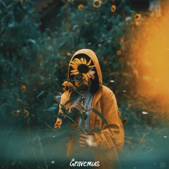 Post Malone ft.Swae Lee - Sunflower (WhatsApp status video)