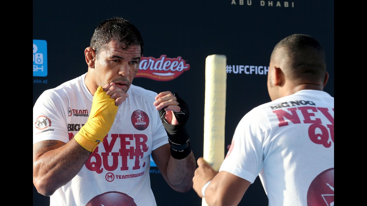 Ufc Ufc Fight Night 39 ノゲイラ Vs ネルソン プレビュー プロレス 格闘技ショップ Big Blue