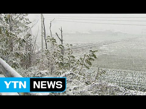 [날씨] 겨울 추위에 내일은 많은 눈...빙판길 주의 / YTN