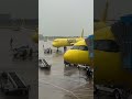 Spirit A321 pushback at Detroit!