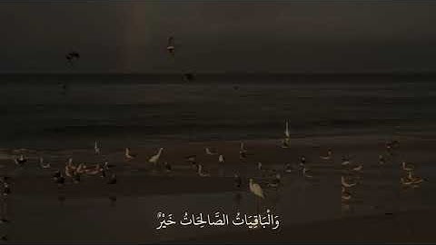 و يزيد الله الذين اهتدوا هدي ❤️ || القارئ فارس عباد ❤️