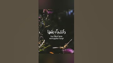 مقطع يلامــس القلب بصوت جميل جدا سالم الرويلي 💭💗 حالات واتس أب قران كريم ♥️🎧 Quran status