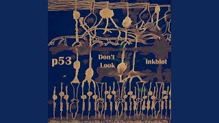 Don't Look