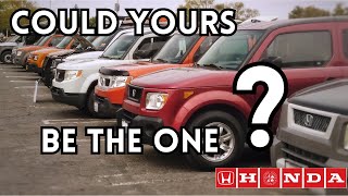 Honda is looking for an Element?