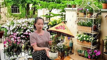 What Truly Matters to a Gardener | Before and After the Storm