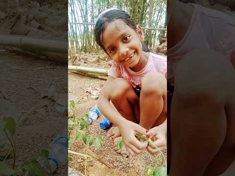 Sapna ka angan❣️
