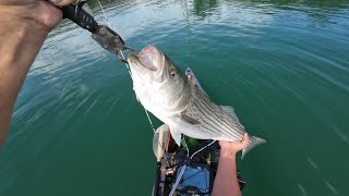 Kayak Fishing for Striped Bass on Lake Lanier  