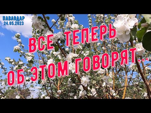 #Павлодар / Все теперь об этом говорят...