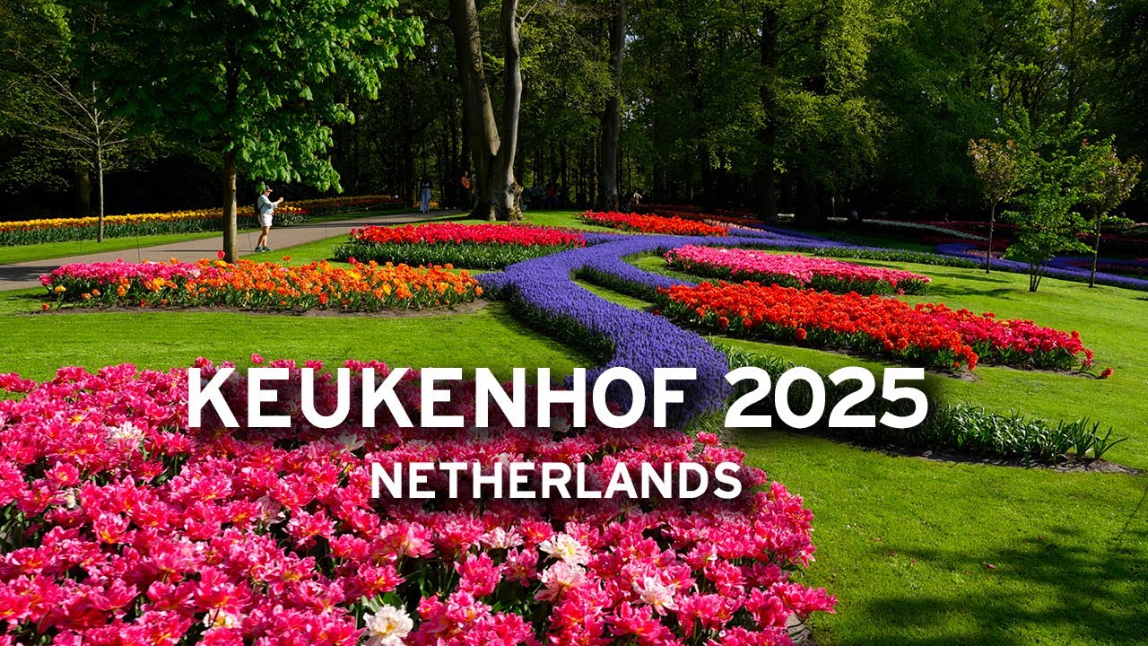 🇳🇱 Keukenhof in Late April 2025 on a Sunny Afternoon  [4K]