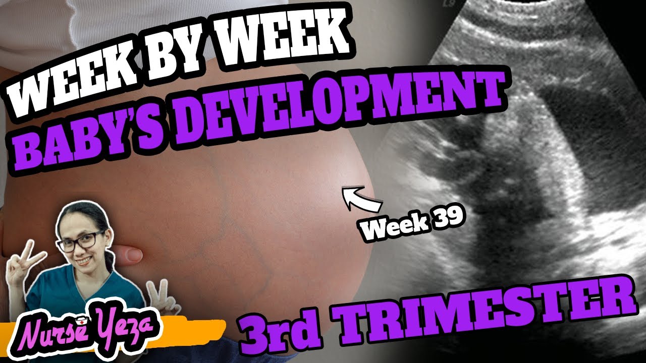 WEEK BY WEEK NA NANGYAYARI SA LOOB (3RD TRIMESTER)