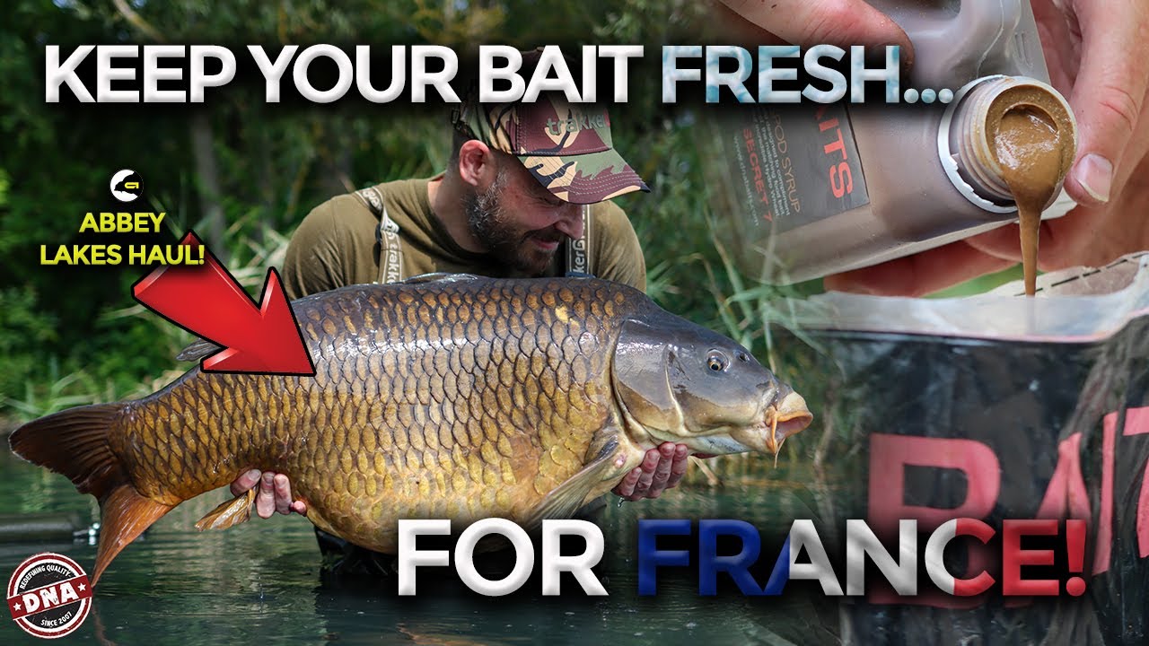 ***HOW TO KEEP YOUR BAIT FRESH FOR FRANCE*** DEVASTATING ABBEY LAKES MIX DNA BAITS CARP