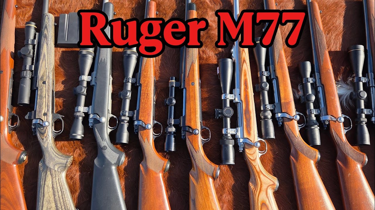 Ruger M77 and Hawkeye