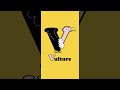 Animals that start with V - Vervet, Vicuna, Vulture #Shorts