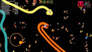 Worm zone io play online, game worms zone io offline, cara main worms zone io online screenshot 5