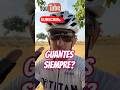 Guantes en verano? #mtb #ciclismo #shortvideo #shorts #ciclismo #bicicleta #viralvideo #gravel