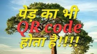 QR code of PLANT