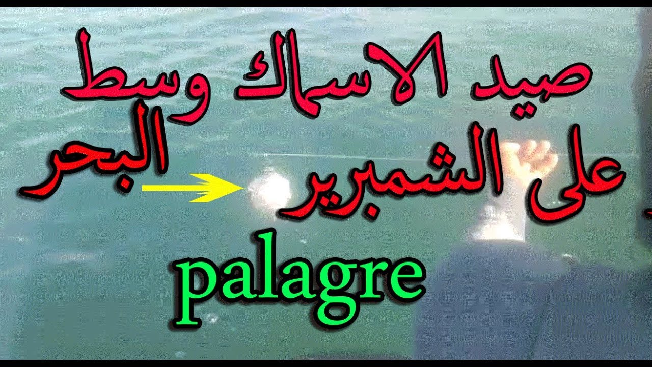 صيد وسحب الاسماك داخل البحر بالعجلة المطاطية بطريقة الشعرة  palangre