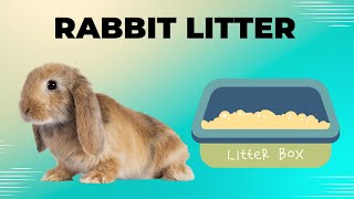 Litter Training Your Pet Rabbit by Pet Care Tips 46 views 3 months ago 2 minutes, 29 seconds