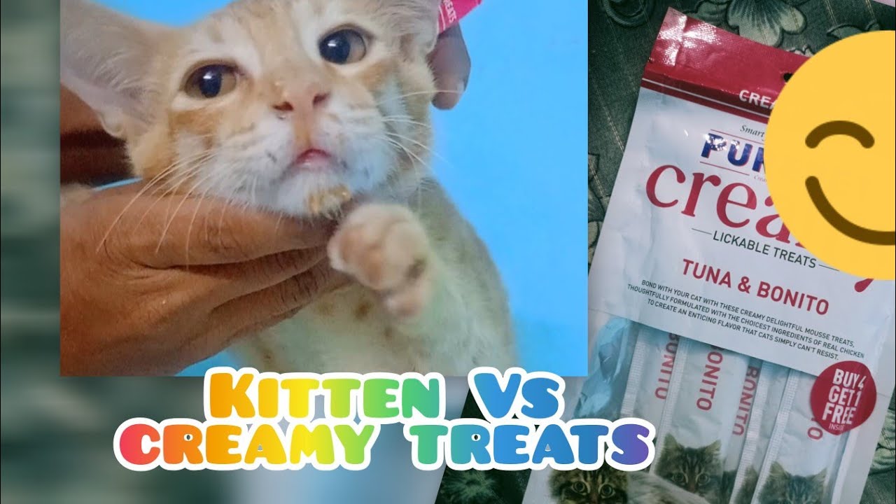  Do your cat loves treats?? 😋😻 13 January 2026