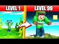 Minecraft But LEVEL = GROW!