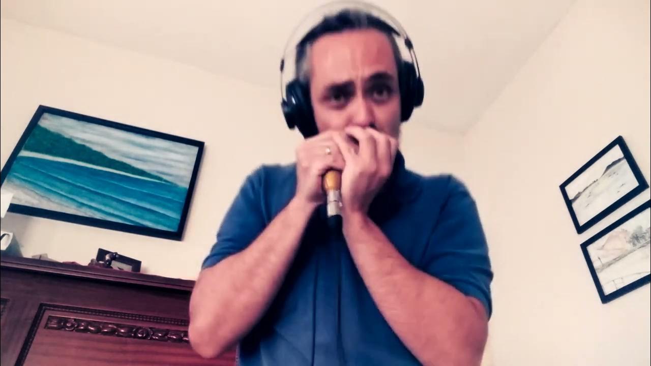 The Chicken Diatonic Harmonica Jazz YouTube