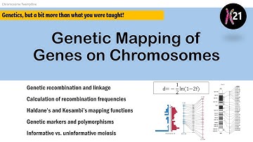 One Point Mapping | Genetic Mapping of Genes on Chromosomes - Part I | ChromosomeTwentyOne