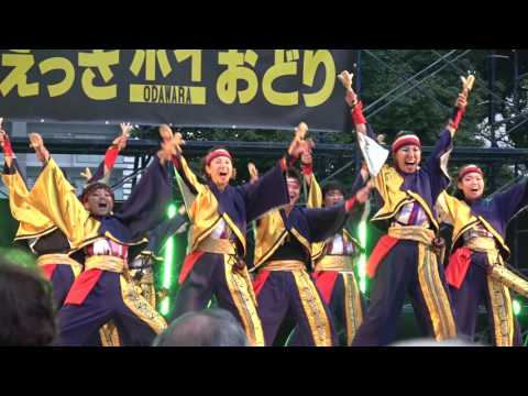 K one　動流夢@ ODAWARAえっさホイおどり2016　一日目　 メイン会場コンテスト演舞