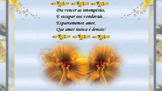 Amor demais   Gina Rocha