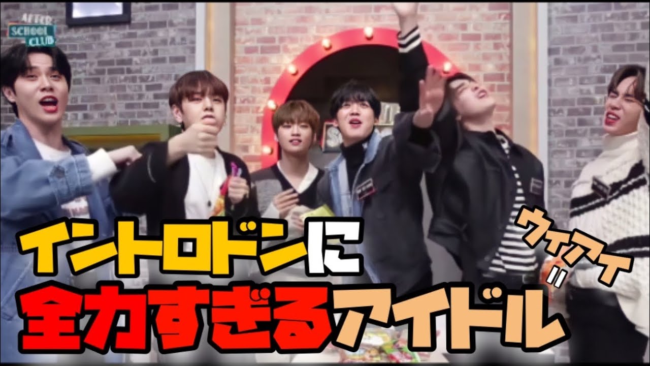 イントロドンに全力すぎるアイドル ｜WEi 日本語字幕 ウィアイ