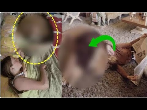 वीडियो: विदेशी पालतू जानवरों की मांग ने प्रजातियों को कगार पर धकेला