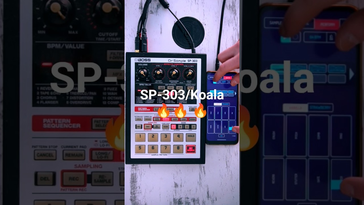 SP-303/Koala sampler combo