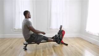 Rowing Machines - Anatomy